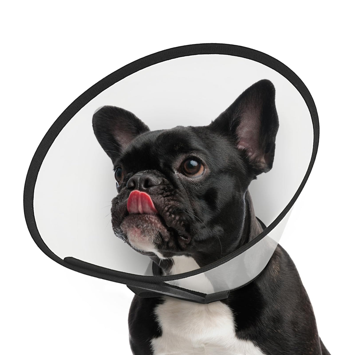 Supet Dog Cone Collar After Surgery to Stop Licking: Adjustable Recovery Elizabeth Collar Alternative for Large Medium Small Dogs, Plastic Pet Head Neck Cone (XS)