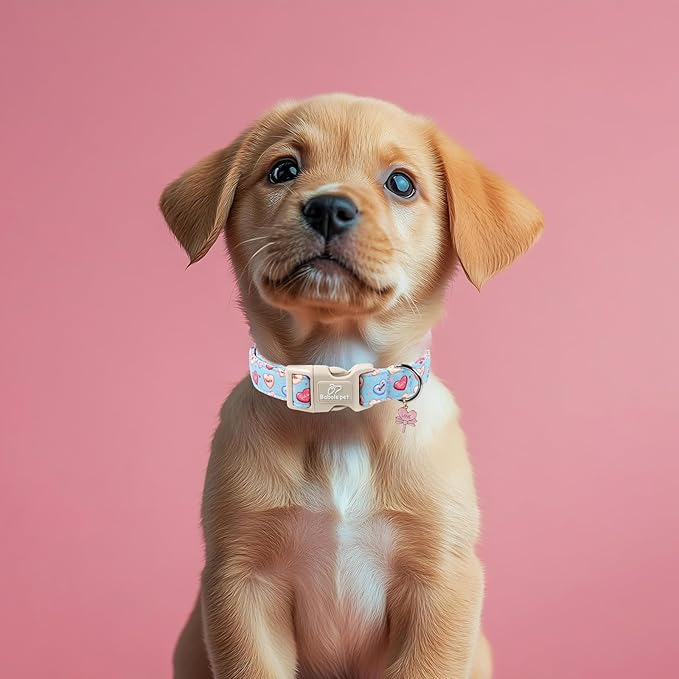 Babole Pet Valentines Dog Collar for Medium Dogs - Valentine Candy Hearts Dog Collars, Love Boy Girl Dogs Collars, Lightweight Adjustable Cute Blue Puppy Collar with Quick-Release Buckle M