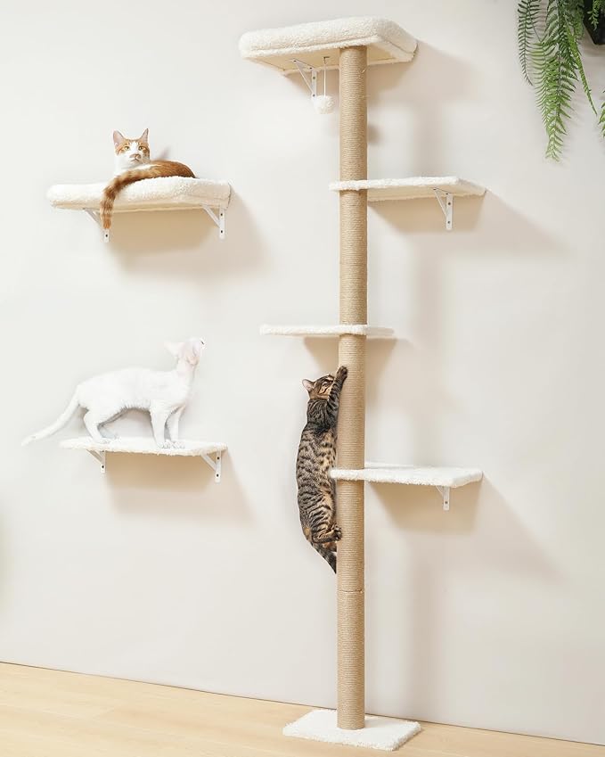 FUKUMARU Cat Wall Shelves Set, 70 inch Wall Mounted Tree