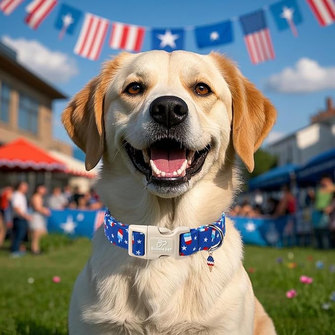 4th of July Dog Collar, Summer Popsicle Patriotic Dog Collars for Medium Dogs, Adjustable Lightweight Quick-Release Buckle Collar for Boy&Girl Dogs M