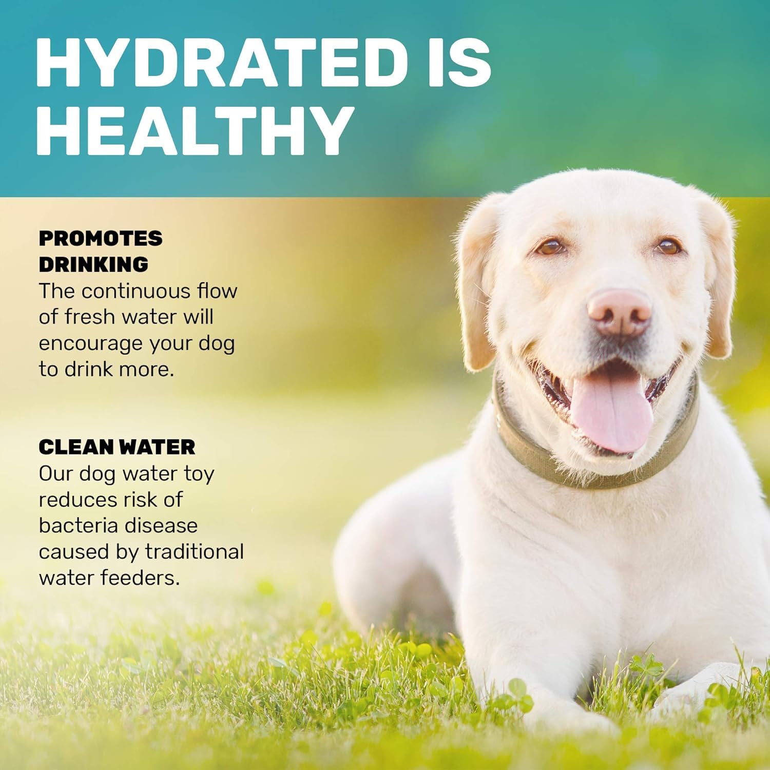 Scuddles Dog Sprinkler, Paw Activated Water Fountain, Outdoor Dog Water Sprinkler with Copper Valve, Easy Step-On Pedal, Perfect For Dogs to Stay Cool and Hydrated, Hose Attachment and Training Guide,