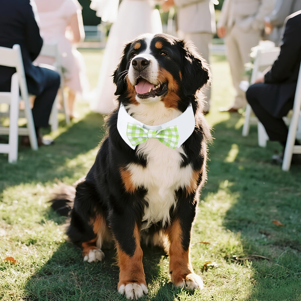 Segarty Dog Bow Tie for Neck Girths 16.5-21.2in, Adjustable Green Plaid Bowtie Collar for Extra Large Dog, Pet Necktie Comfortable Cotton Grooming Accessories for Formal Wedding Holiday Birthday Party