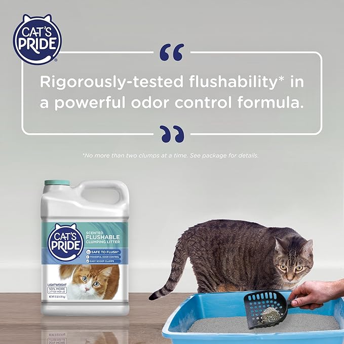 Cat's Pride Flushable Lightweight Scented Clumping Litter 10lb