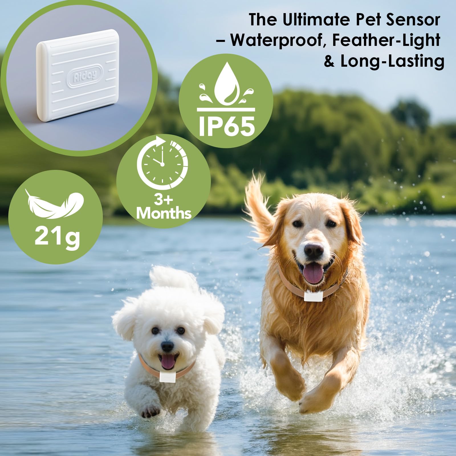 Aiday X-Large Pet Door Collar, Included 2 Sensor Collar (XL Size)