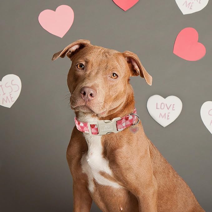 Babole Pet Valentines Dog Collar for Giant Large Dogs - Cute Valentine Pink Hearts Girl Dog Collars, Adjustable Girly Puppy Collar with Quick Release Buckle for Female Dogs XL