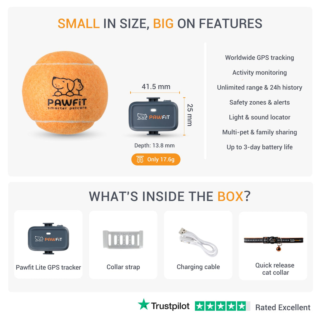Pawfit Lite 4G GPS Cat Tracker, Live Tracking, Ultra-Light, Charcoal Grey