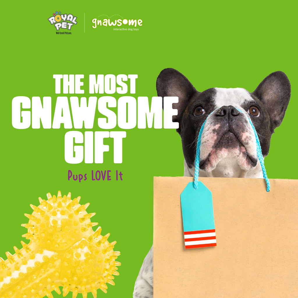 Gnawsome Dog Toys - 6.5” Spiky Squeaker Bone - Medium - Dental & Gum Wellness - Stimulating Fun - Hidden Squeaker - Durable for Heavy Chewers - 100% BPA-Free - Assorted Colors