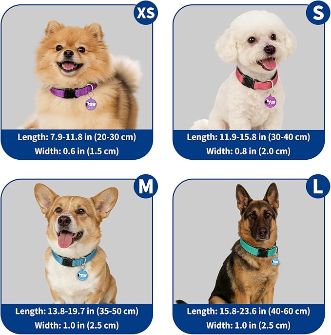 Pawduct Dog Name Tags Personalized Collar, Smart ID Tag, Large, Blue