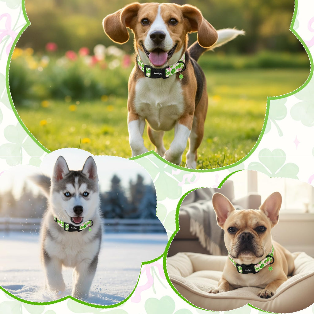 Astdogio St. Patrick's Day Dog Collar, Cute Dog Collars with Green Clover, Adjustable Cotton Pet Collars for Small Medium Large Dogs, Ideal for Puppy Girl Boy Female Male Dogs Gifts-XS