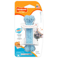 Nylabone Puppy Chew Blue Textured Teething Dog Bone, X-Small