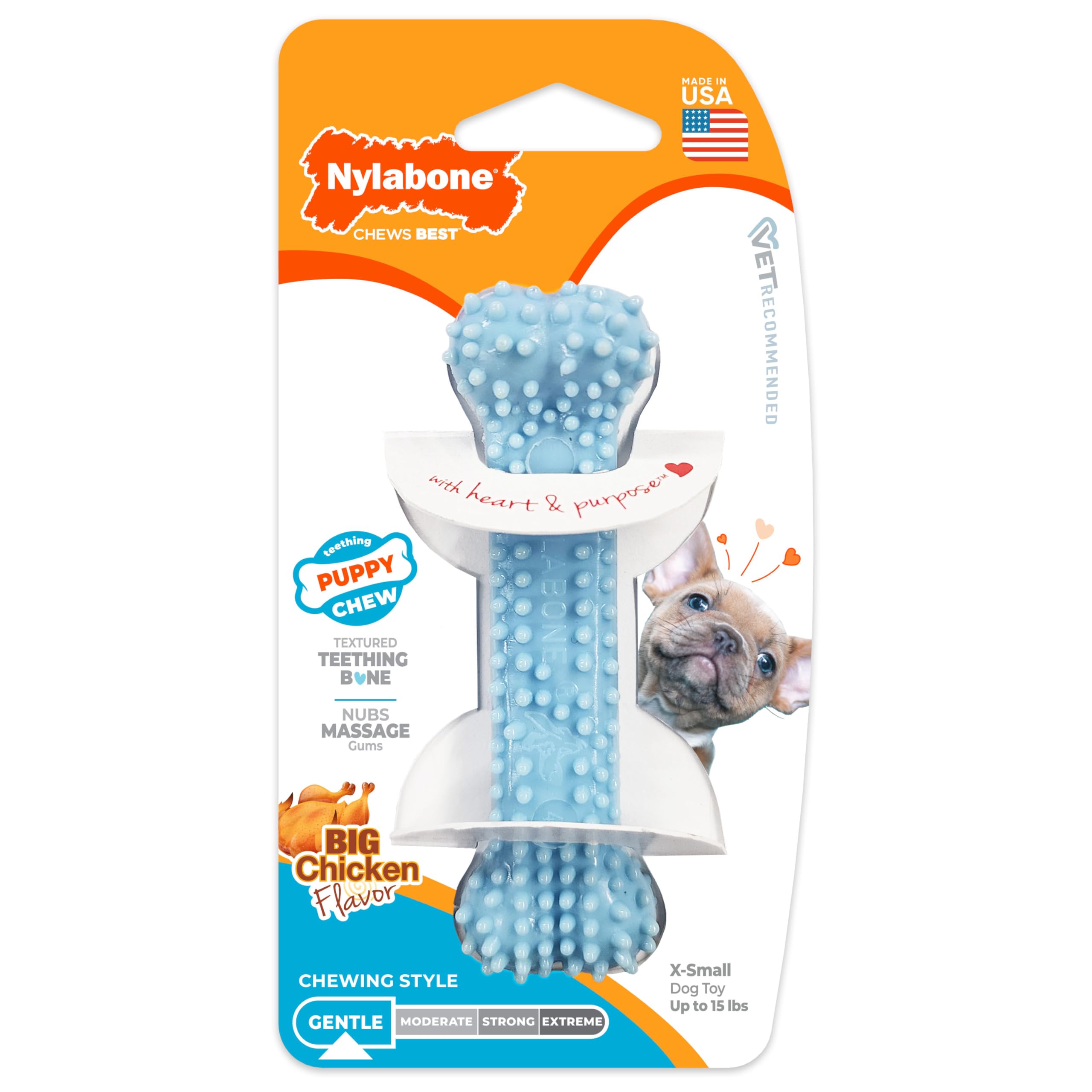Nylabone Puppy Chew Blue Textured Teething Dog Bone, X-Small