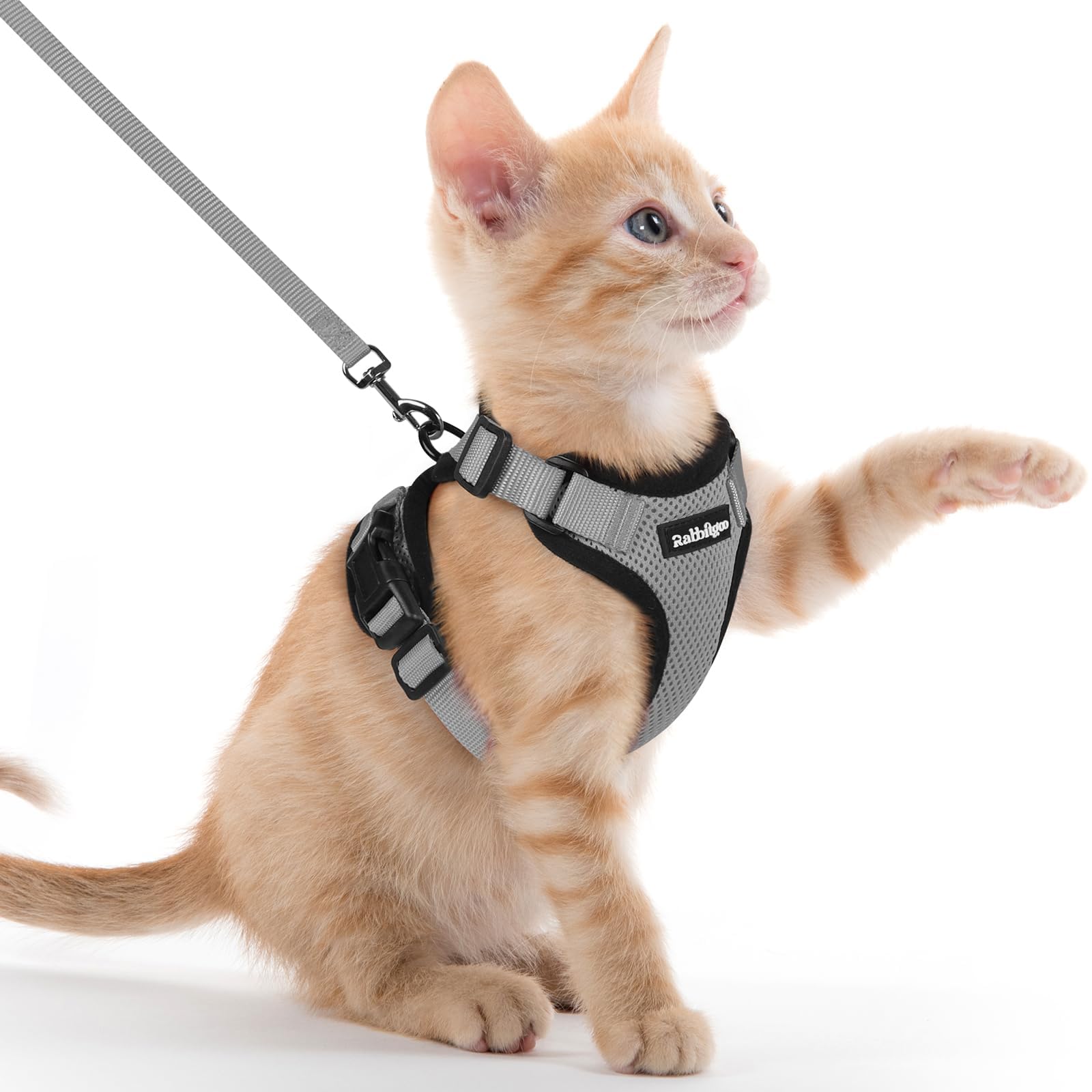 rabbitgoo Cat Harness and Leash Set, Escape Proof Vest, Emerald