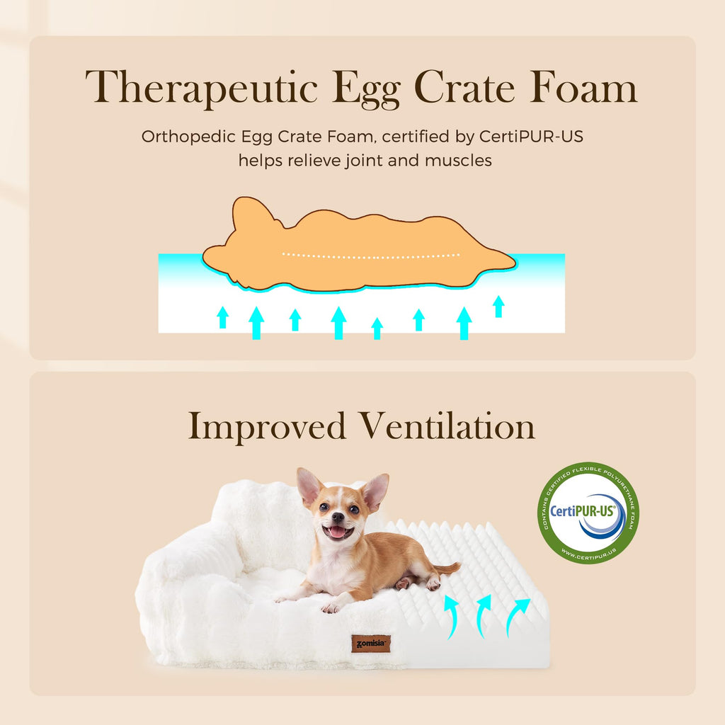 ZOMISIA Orthopedic Cat Couch Bed for Indoor Cats, Removable Washable Cover