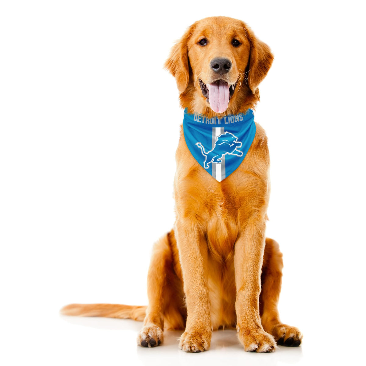 Littlearth NFL Seattle Seahawks Pet Bandana, Team Color, X-Small