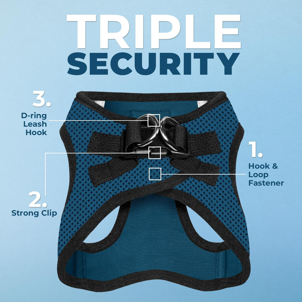 Best Pet Supplies Voyager Step-in Air All Weather Mesh Harness and Reflective Dog 5ft Leash Combo with Neoprene Handle, for Small, Medium and Large Breed Puppies - Blue/Black Trim, Medium