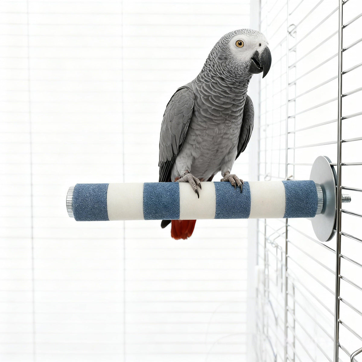 Bird Perch for Cage, Parrot Perch 7.9” x 1” Bird Beak Grinding Stone – Durable Beak & Claw Trimming Accessory for Conure, Cockatiel & Parrot, Non-Toxic Birds Cage Accessory