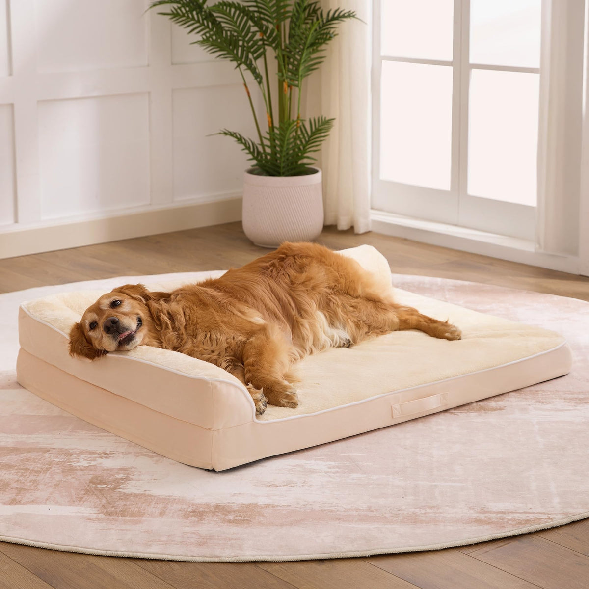 Aeroluxe XXL Orthopedic Dog Bed, Extra Large Dogs, 48"x35"x7.5", Beige