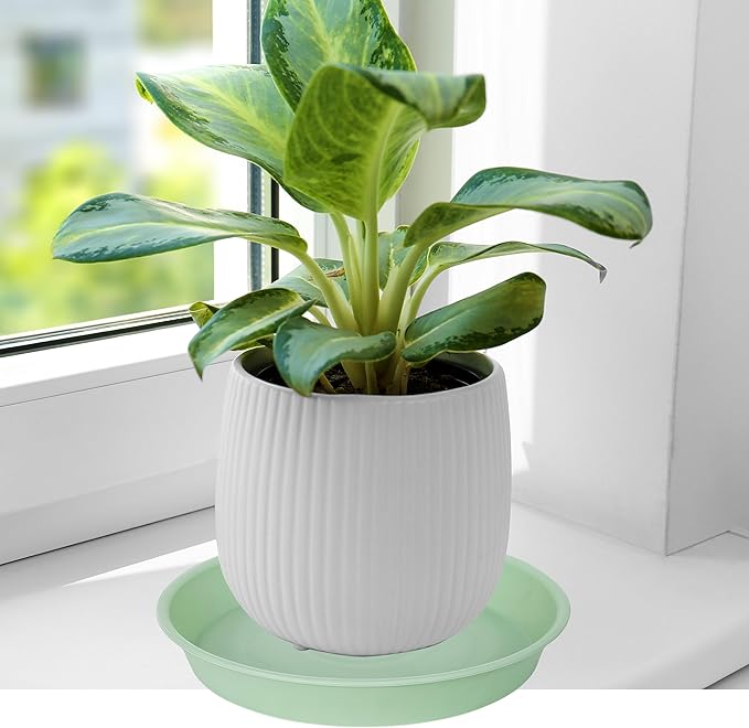 Bleuhome 6 Pack of 10 inch Plant Saucer Blue, Heavy Duty Plastic Plant Saucer 10 inch Round, Flower Plant Saucers for Indoors, Plant Trays for Planter 8"/9"/10" (10", Light Green)