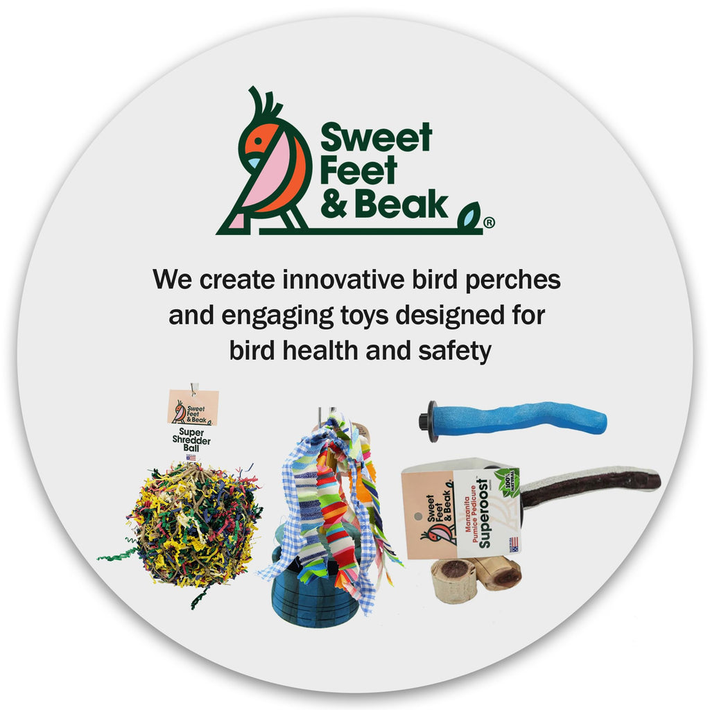 Sweet Feet and Beak Safety Pumice Bird Perch, X-Small Pedicure Perch, Purple