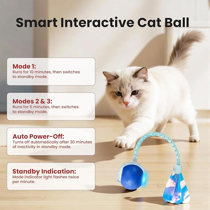Rocfish Durable Interactive Cat Toys for Indoor Cats (Blue, 03)
