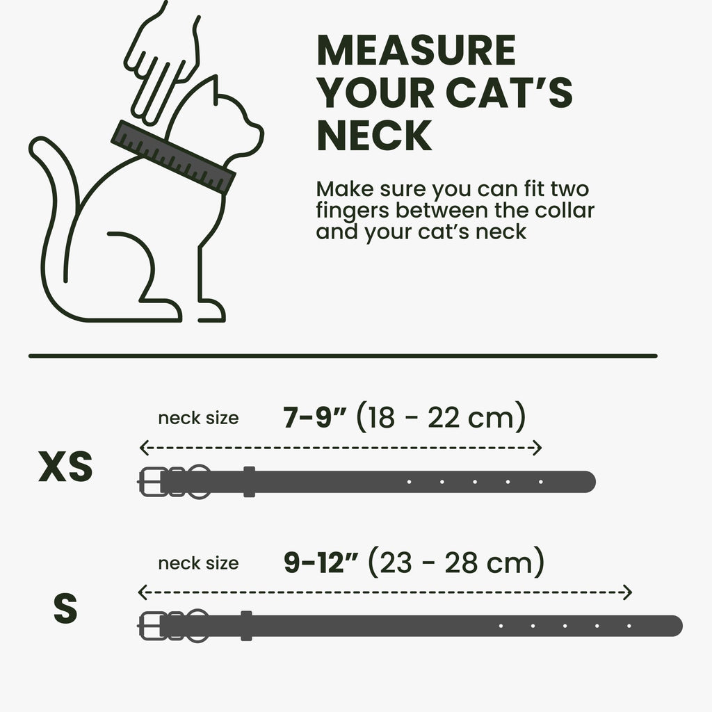 BRONZEDOG Leather Cat Collar with Removable Bells Non Breakaway Kitten QR Tag for Girl Boy (7" - 9" for Cats, Black & Silver)