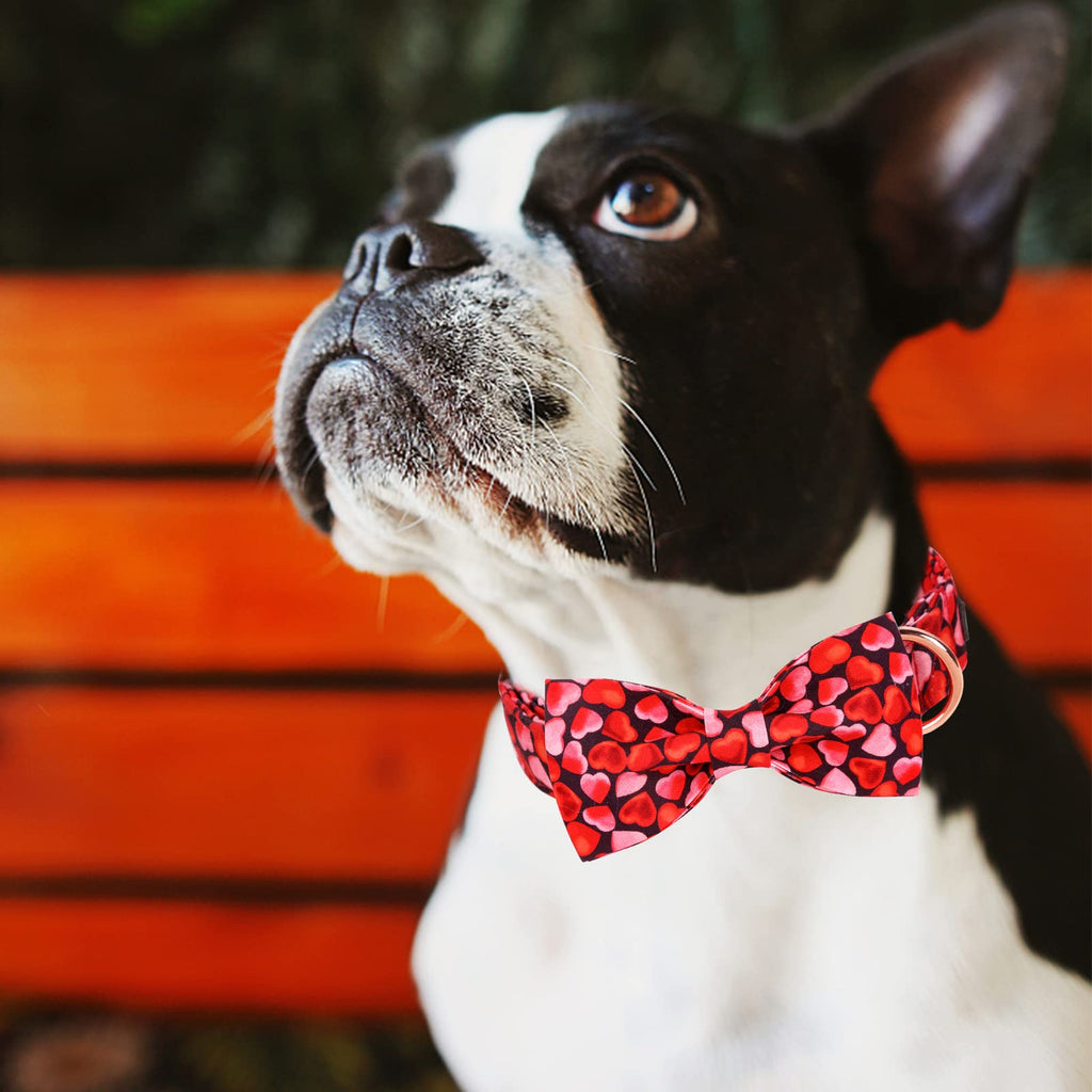 MR. CHUBBYFACE Valentines' Dog Collar with Bowtie Pink Love Pet Collar, Cute Adjustable Puppy Collar for Small Medium Large Dogs