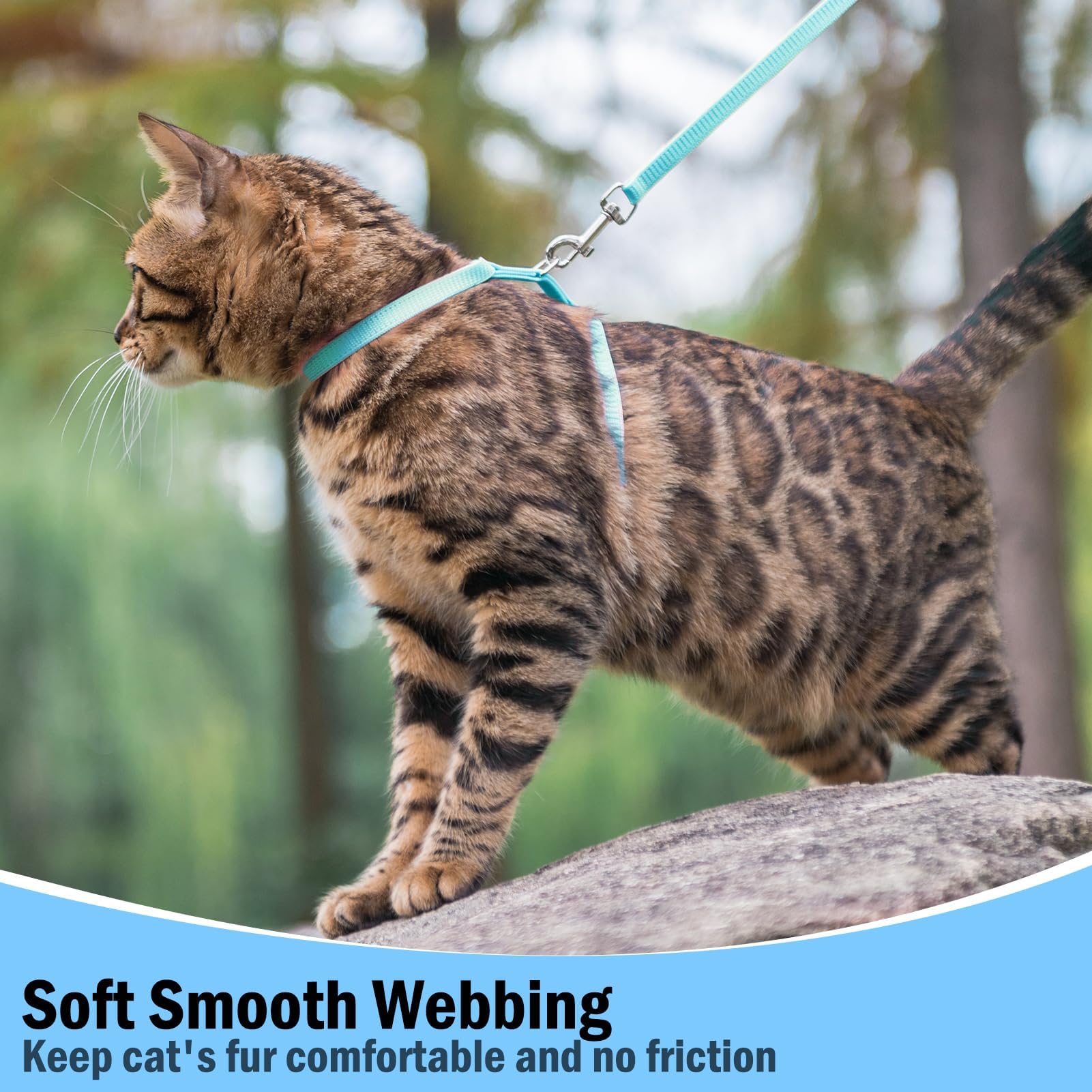 PUPTECK Adjustable Cat Harness and Leash Set Escape Proof Kitten Strap Collar for Walking Travel, Sky Blue, M