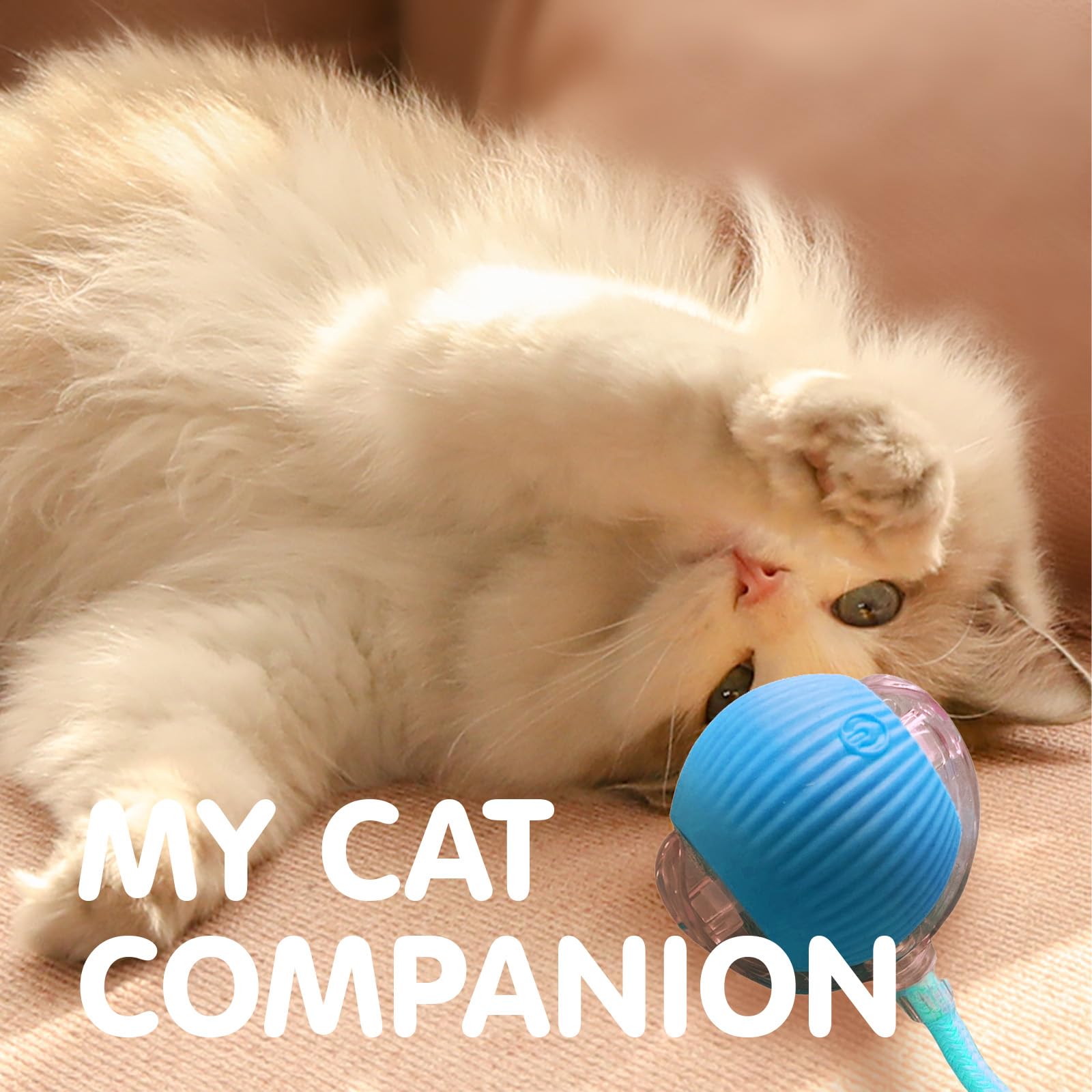 Rocfish Durable Interactive Cat Toys for Indoor Cats (Blue, 01)