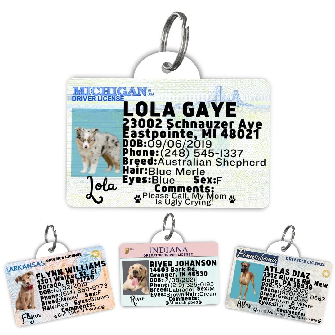 Dog Tags Personalized, Dog ID License Tag for Pets (Washington, Tag)