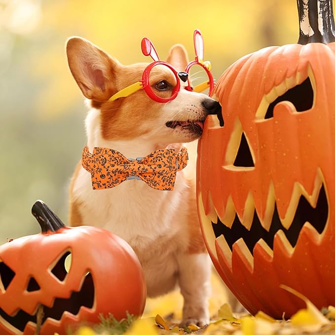 Halloween Dog Collar, Pet Collar Dog Bow Pumpkin Dogs Collar Girl Boy Holiday Pet Dogs Collar Gift Bow Dog Collar Cute Soft Puppy Collar for X-Small Puppy