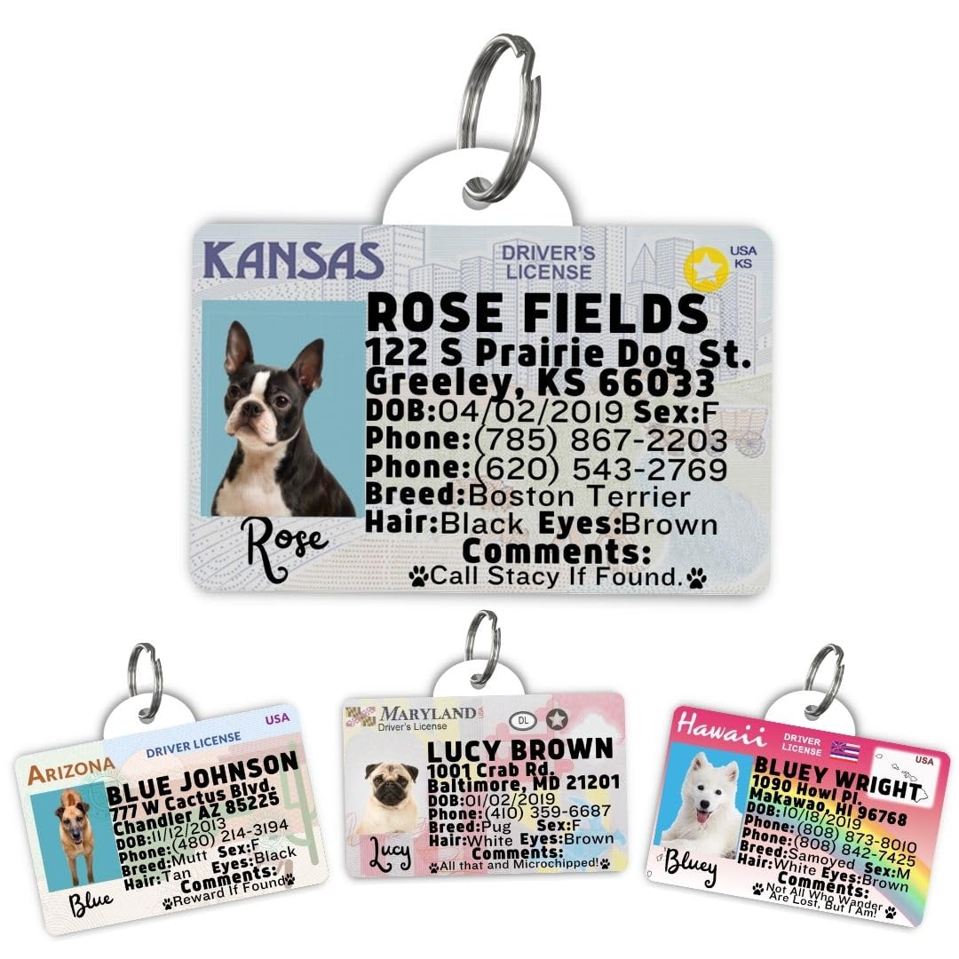 Dog Tags Personalized, Dog ID License Tag for Pets (Washington, Tag)