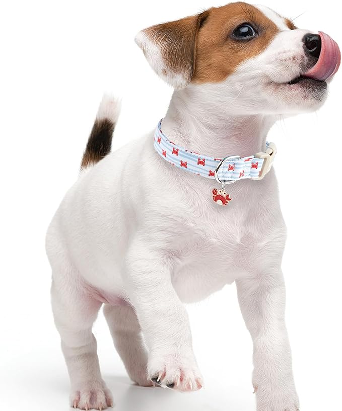 Faygarsle Cute Crab Pattern Dog Collar, Cotton Fabric, Light Blue Stripes, for Small Medium Large Dogs, M