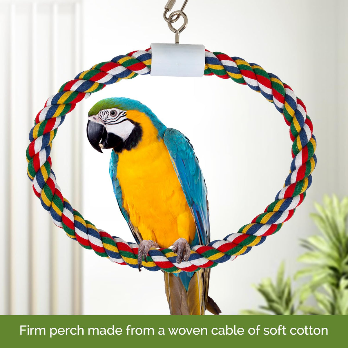 JW Pet Swing N' Perch, Large