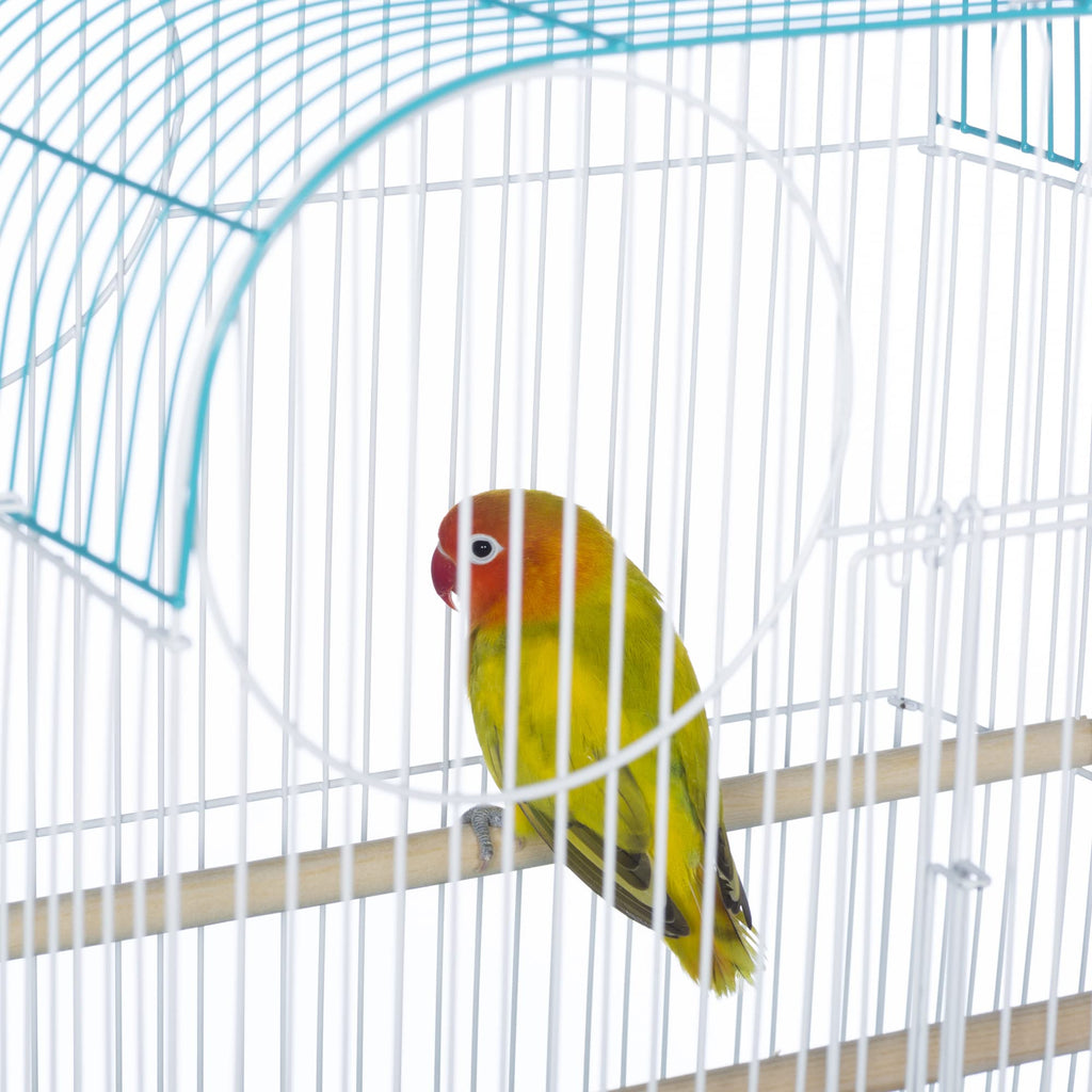 Prevue Pet Products South Beach Flat Top Bird Cage Minimal Assembly - Teal