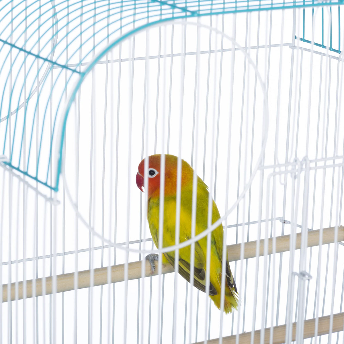 Prevue Pet Products South Beach Flat Top Bird Cage Minimal Assembly - Teal