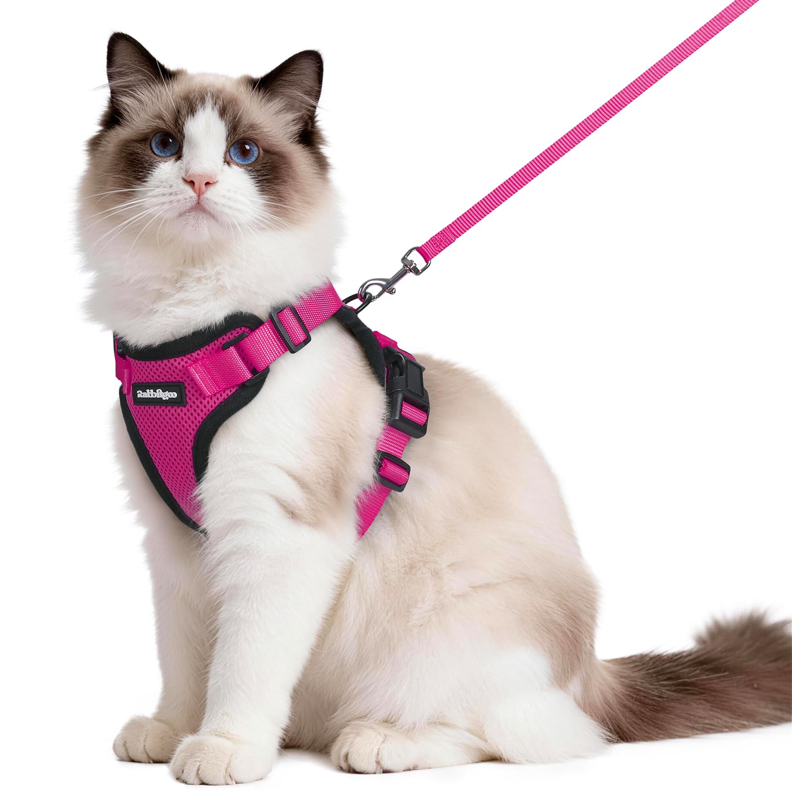 rabbitgoo Cat Harness and Leash Set, Escape Proof Vest, Emerald
