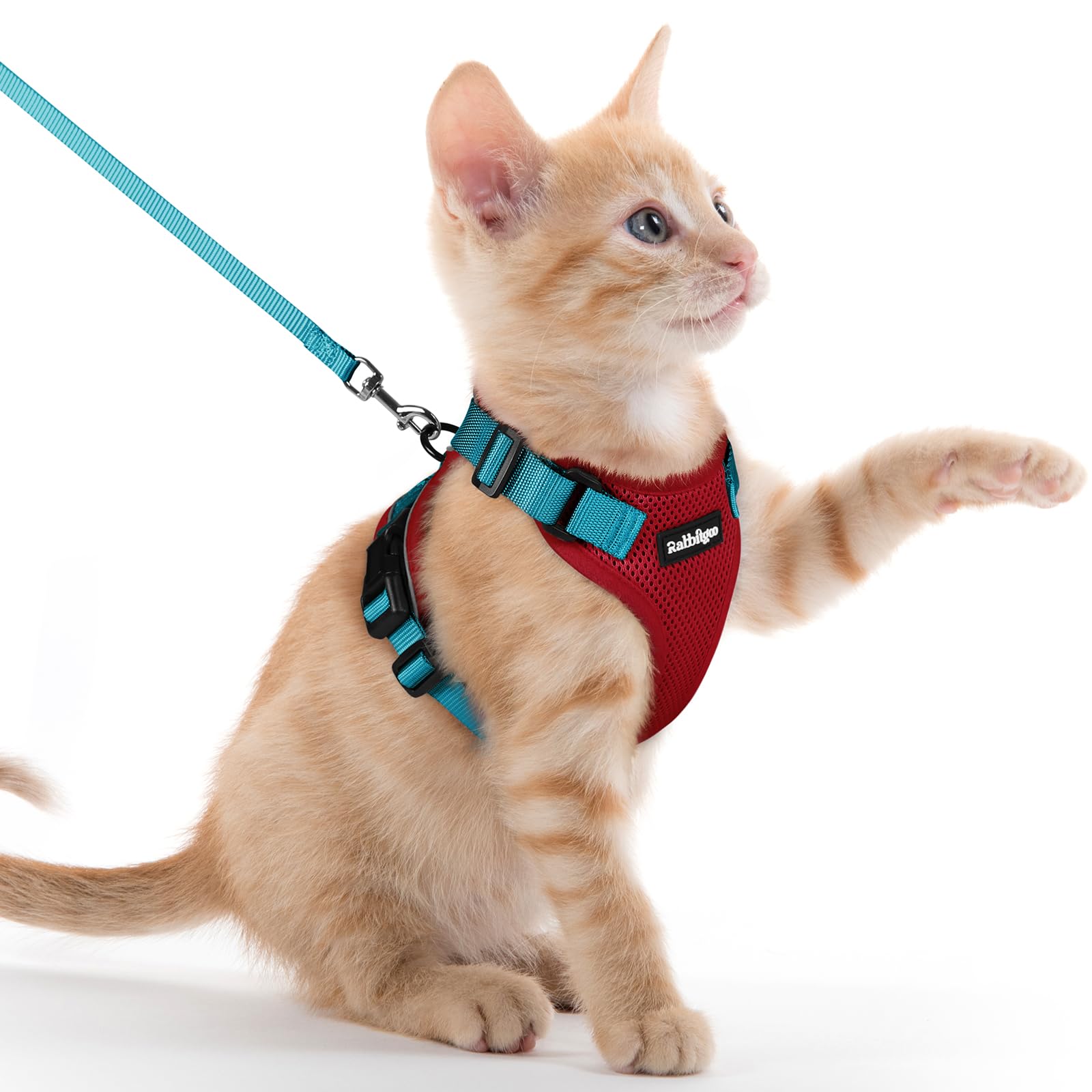 rabbitgoo Cat Harness and Leash Set, Escape Proof Vest, Emerald