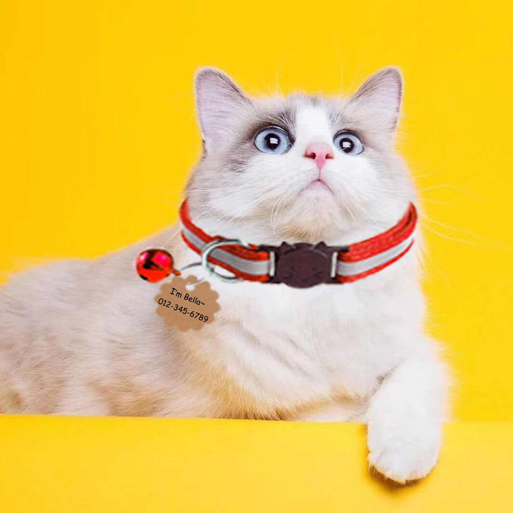D-BUY 4 Pcs Cat Collars with Bell, Breakaway & Reflective, Nylon, 4 Colors, 7-12 Inch, Unisex, Small Breeds
