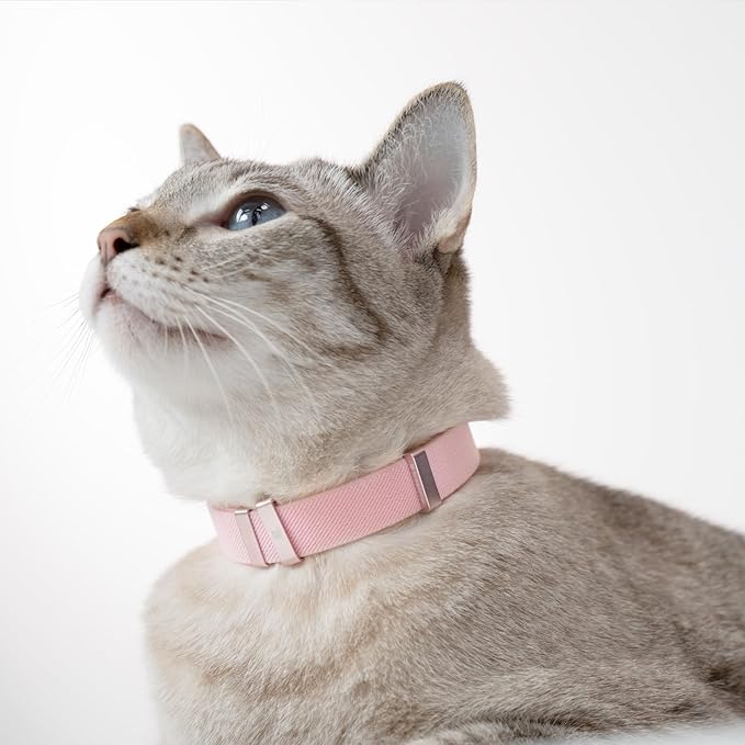 Safety Cat Collar - U.S. IDA Gold Awarding Design, Elastic Quick Release, Non Breakaway - Lightweight for Kitten, Neck Fit 7.8'-15.7' for All Small Large Cat,M(Blush Pink)