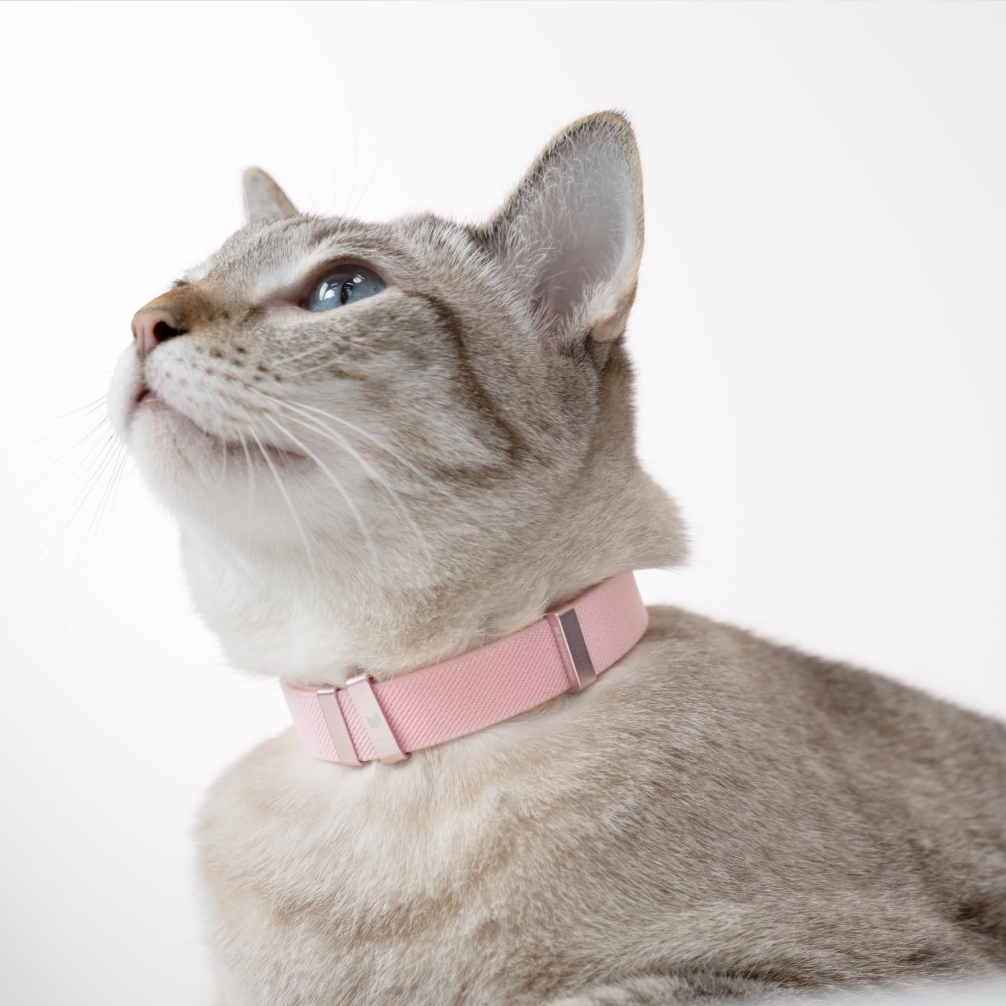 BuddyArmor Safety Cat Collar - U.S. IDA Gold Awarding Design, Elastic Quick Release, Non Breakaway - Lightweight for Kitten, Neck Fit 7.8'-15.7' for All Small Large Cat,M(Linen)