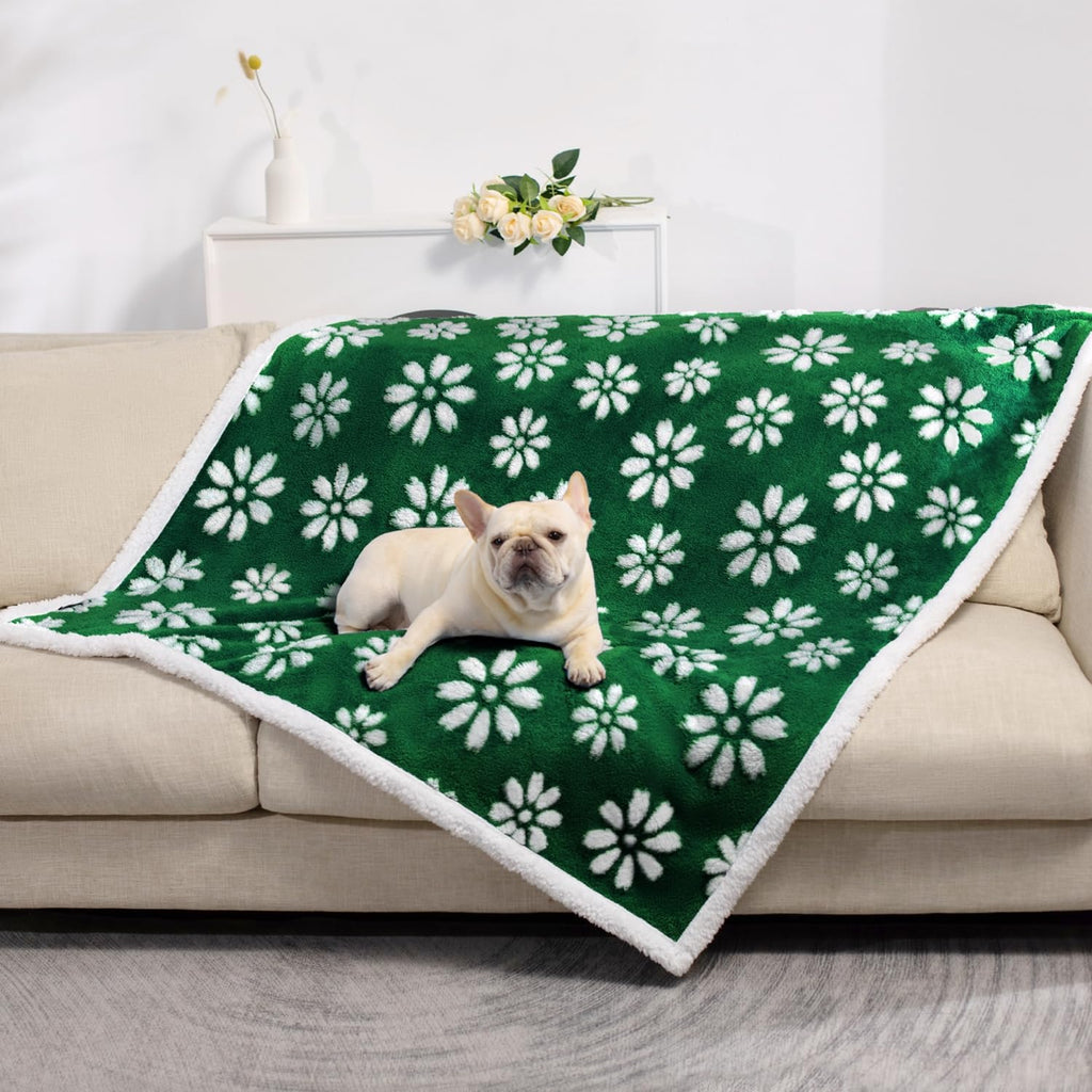 Yaning Cute Waterproof Blanket for Dog Puppy Cat, 30"x40", Green