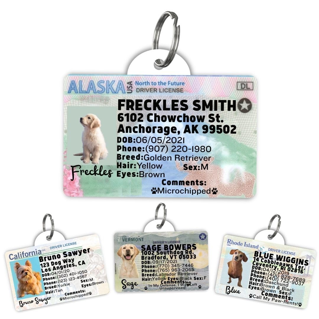 Dog Tags Personalized, Dog ID License Tag for Pets (Washington, Tag)