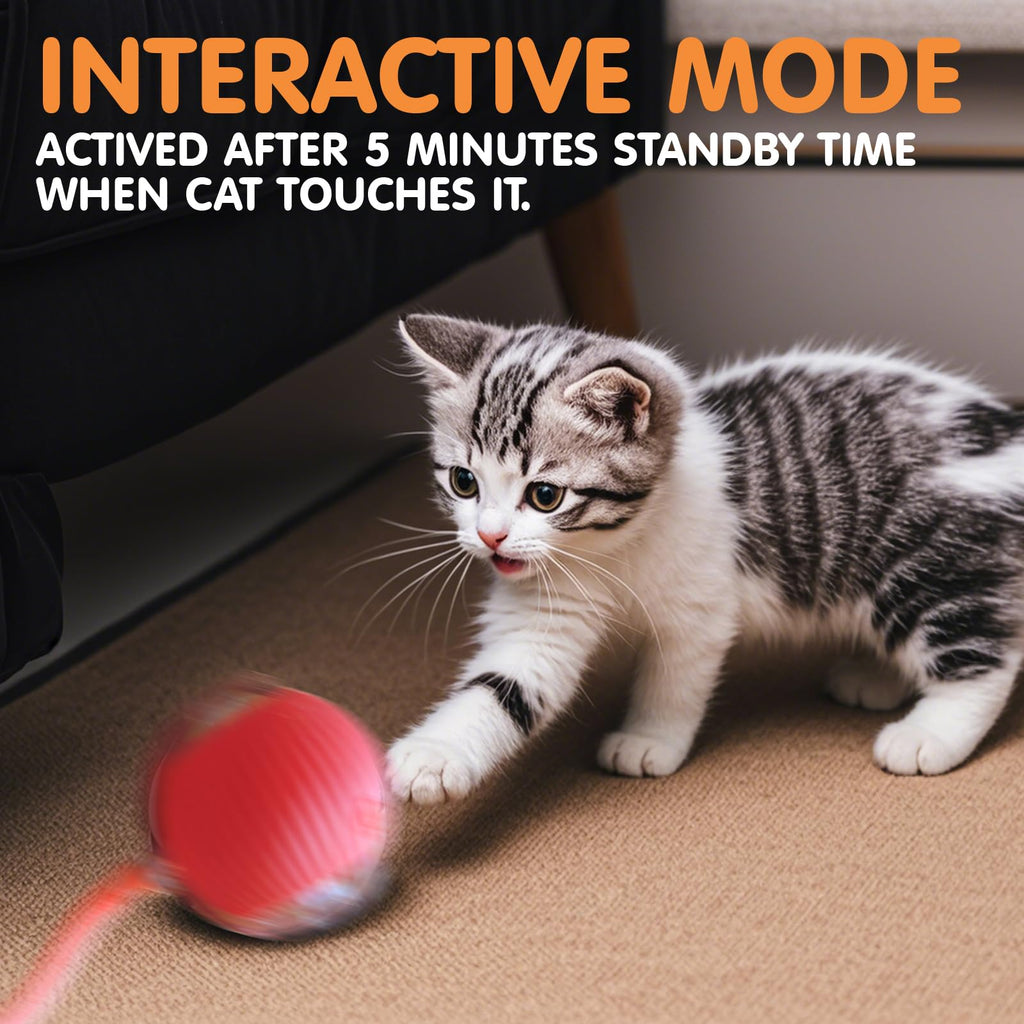 Rocfish Durable Interactive Cat Toys for Indoor Cats (red, 01)