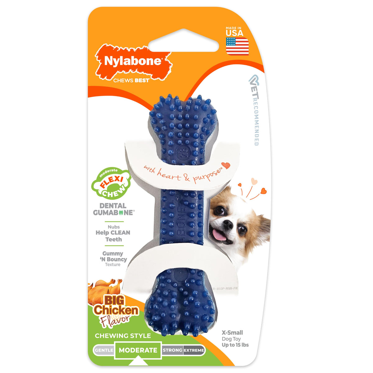 Nylabone Flexi Chew Dental Gumabone Dog Chew Toy, Chicken Flavor, Small
