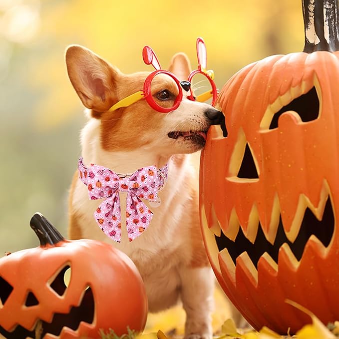 UP URARA PUP Halloween Pumpkin Dog Collar with Bow Tie, Pink Halloween Puppy Bowtie Collar with Adjustable Metal Buckle,Fancy Dog Collar Bowtie for Girl Boy Dog,XL