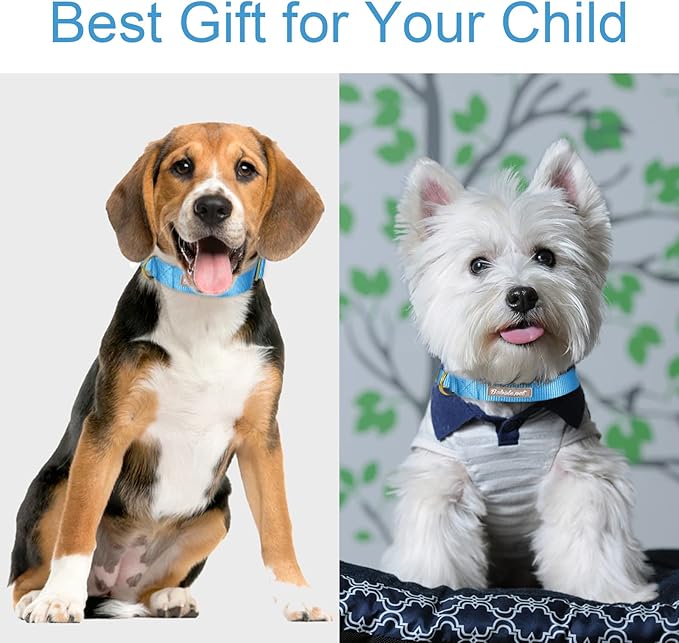 Nylon Dog Collar - Adjustable Blue Soft Webbing Dog Collars for Small Medium Large Dogs Boy Girl Puppy Collar with Safety Metal Buckle M