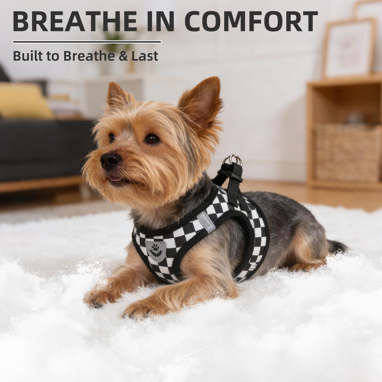 PUPTECK Dog Harness, Collar and Leash Set No Pull for Small Medium Sized