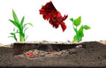 CTWPets Shrimp Breeding Protector, Shrimp Hide Tunnel