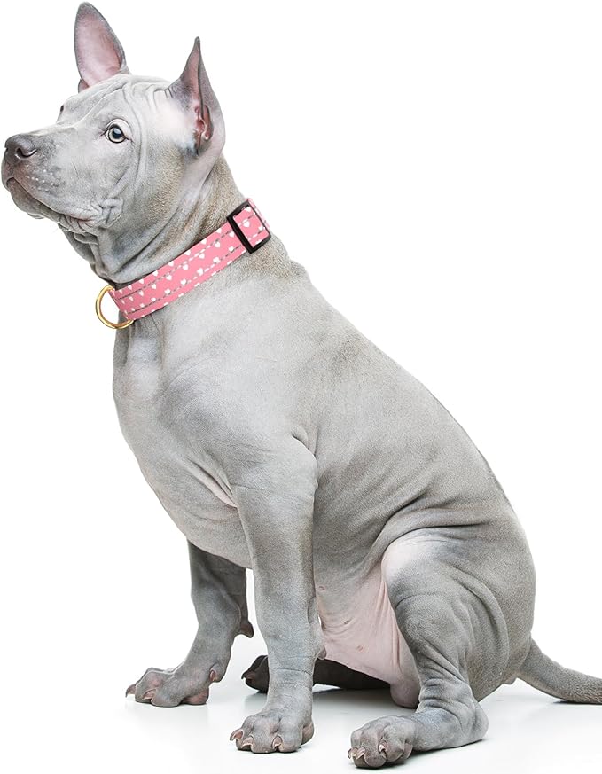 TMOODEL Reflective Dog Collar for Medium Dogs, Cute Adjustable Heavy-Duty Nylon Puppy Collars for Boy and Girl Female, Soft Pet Accessories with Quick Release Buckle, Neck 14-20", Pink Hearts