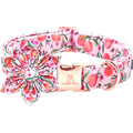 Lionheart Glory Pink Peach Dog Collar with Flower Bow for Small Dogs